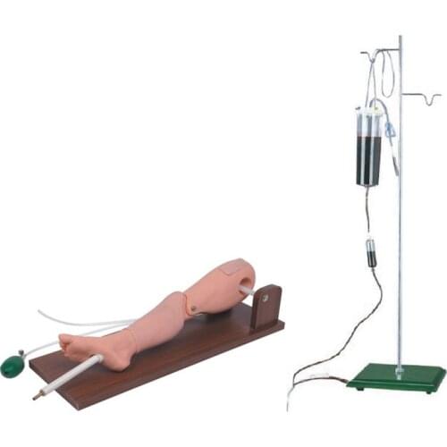 Tibial bone puncture and femoral vein puncture teaching training Simulator Training manikin