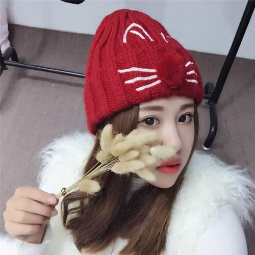 Cute Cat Beard Embroidered Knitted Hat Wool Hat Female Autumn And Winter Days Warm Pullover Cap