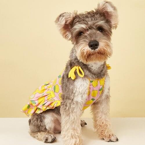 Cawayi Kennel Summer Cute Dresses for Dogs Cats Pet Sling Skirt Fruit Print Dog Clothes Small Dog Cat Pet Dress Clothes D2312