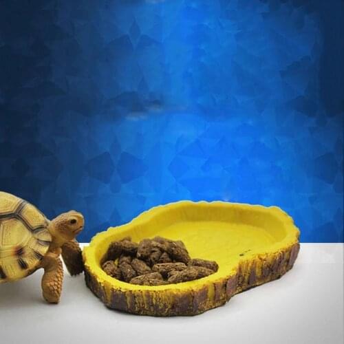 Resin Amphibian Reptile Tortoise Feeding Bowl Food Water Dish Gecko Snake Turtle Terrarium Feeder Reptile Accessories