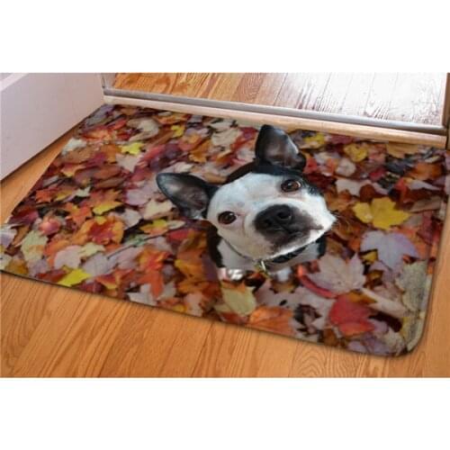DARMIAN 3D Animal Boston Terrier Dog Printing Carpets Home Entrance Door Carpet Living Room Decorative Floor Mats Rugs Alfombra