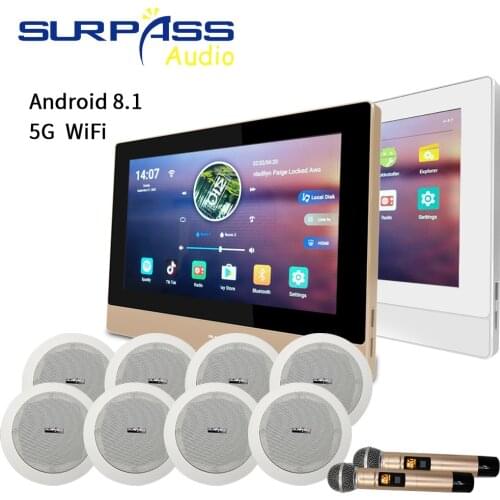 Smart Home Theater WiFi Bluetooth Digital Wall Amplifier Audio PA Ceiling Speaker Wireles Microphone Karaoke Stereo Music Player