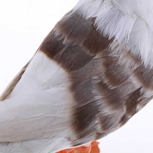 Simulation Seagull Model Handcraft Garden Home Decoration Craft Ornament