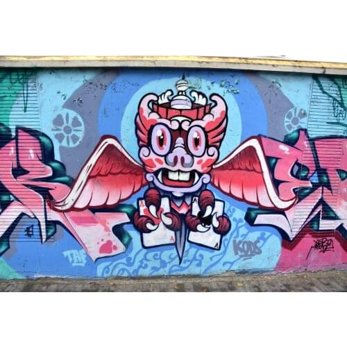 VinylBDS 5X7FT Cartoon Graffiti Wall Backgrounds for Photo Studio Wedding Children Photography Background Washable Background