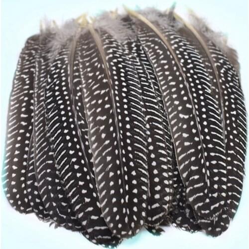 10Pcs Natural Pheasant Feathers for Crafts DIY Colorful Chicken Feathers Material Party Home Wedding Plume Decorations 15-20cm