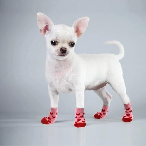 4pcs/Set Cute Puppy Dog Socks Cartoon Anti Slip Knit Socks Warm Puppy Shoes Small Medium Dogs Boots Pet Product Pet Supplies