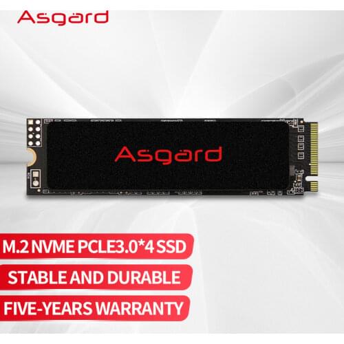 Asgard AN2 Internal Hard Disk 250GB 500GB PCIe3.0 X4 Solid State Hard M.2 NVMe m2 2280 for laptop desktop