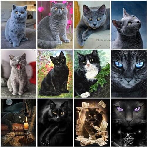 5D DIY Diamond Painting Black Cat Full Square/Round Diamond Embroidery Animal Mosaic Picture of Rhinestone Home Decoration