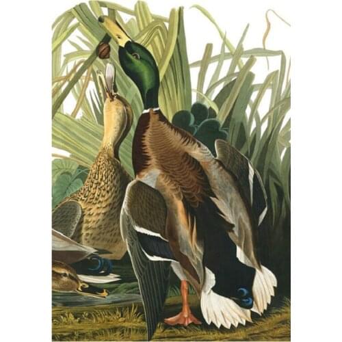 5d diy diamond painting landscape pattern sticker full square round drill wild duck hobby decoration diamond mosaic wall paint