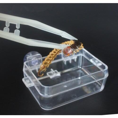 Reptile Tweezers Noctilucence Clip Feeding Tongs Live Food Feeding Clamp