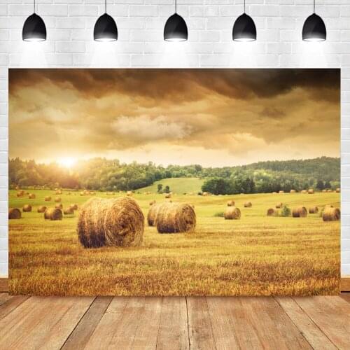 Laeacco Autumn Paddy Field Hay Stack Day Portrait Scene Photography Background Baby Child Photographic Backdrop For Photo Studio