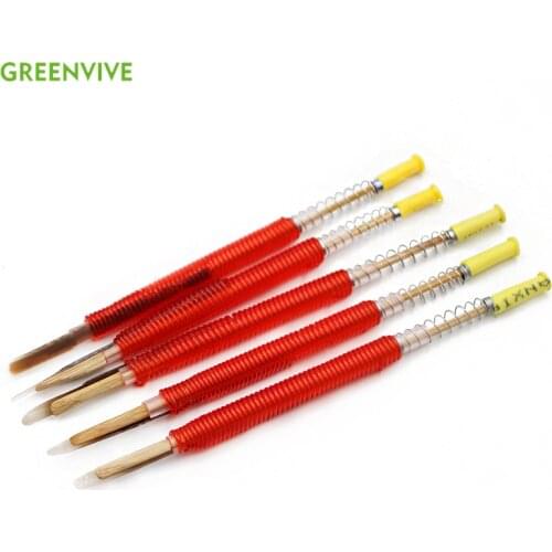 5Pcs Bee Tools Moving Insect Worm Needle Move Queen Bee Larvae Needle Apiculture Tool Bees and Beekeeping Equipment
