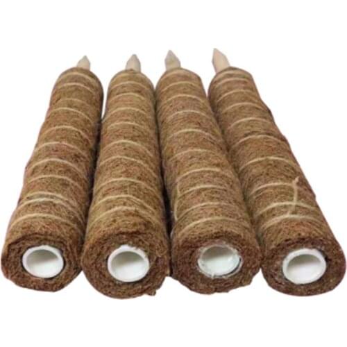 High Quality Stretching Plants Climbing Poles,Climbing Vines Moss-overed Plants Postscoconut Palms Help Support Plant Growth