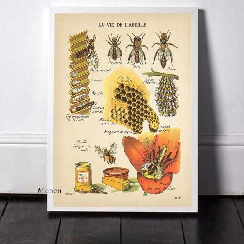 Vintage Bees Wall Art Poster Insects French Honey Bee Canvas Painting Sepia Toned Bee Diagram Home Wall Decor for Farm Kitchen