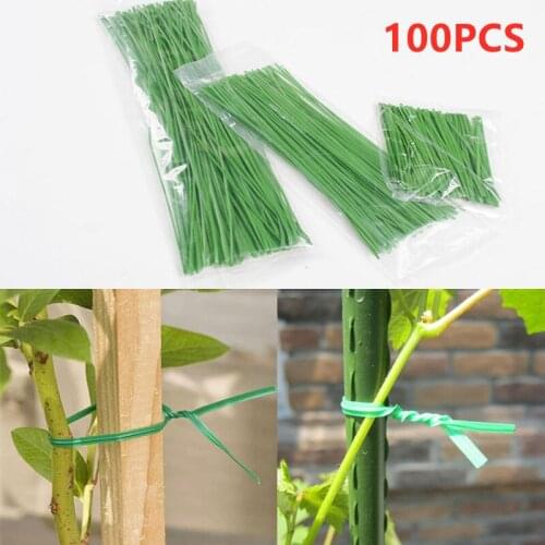 100pcs Gardening Plants Ties Power Wire Cable Ties Flowers Plant Brackets Parts Bonsai Flower Cucumber Grape Rattan Supports
