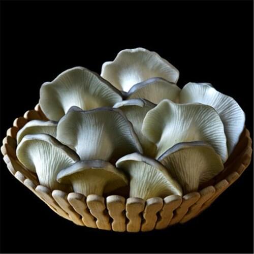 Faux mushroom swamm Pleurotus ostreatus Pleurotus eryngii Enoki Mushroom Shiitake fake artificial vegetables model props