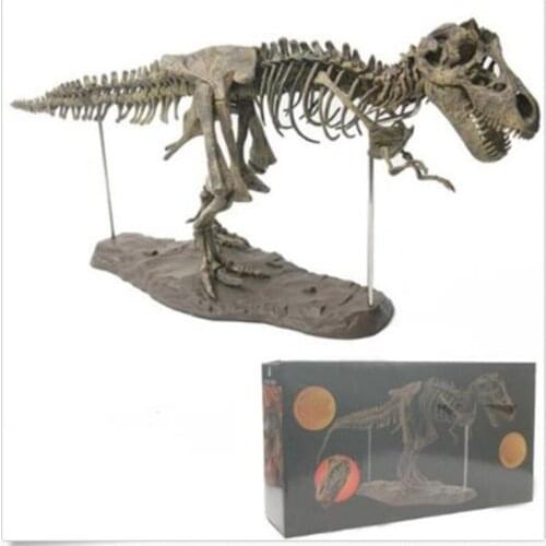 4D Dinosaur Skeleton Fossils Bones Puzzle Kids Toy Collection Animal Model Decor