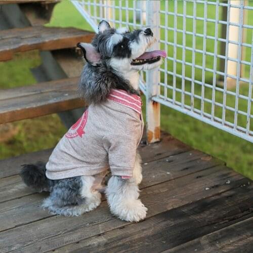 Autumn and winter new French doodle Dog pet clothing dog clothes knitted cardigan jacket