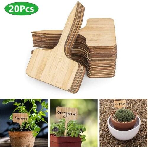 20Pcs Bamboo T-shaped Plant Flower Succulents Labels Tags Eco-Friendly Wooden Garden Nursery Pots Markers Gardening Tool