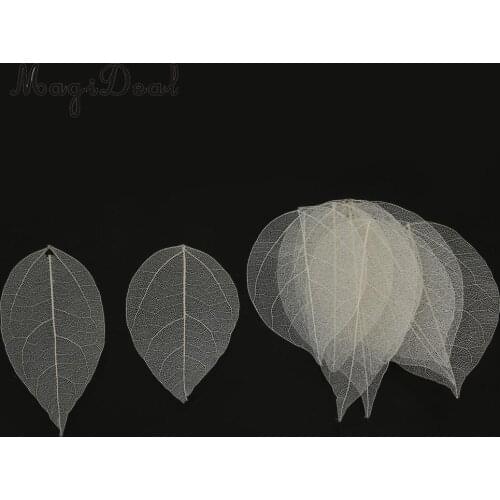 MagiDeal Delicate Pack of 10Pcs Skeleton Leaves DIY Craft for Cardmaking Scrapbooking Bookmark Wedding Invitations Supply White