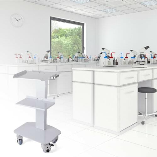 75CM 3-Shelf Surgical Mobile Trolley Stainless Steel Medical Trolley Laboratory Trolley for Hospital Clinic With 2 Locking Wheel