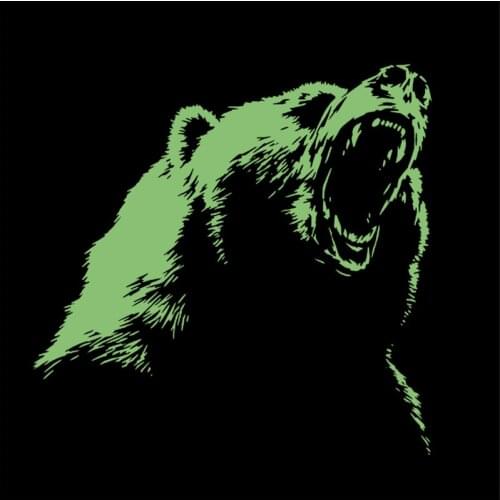 Patches Noctilucent Bear Animal Stickers for Clothes Thermal Transfer Printing Pattern Decoration Fashion Style Luminous Patch