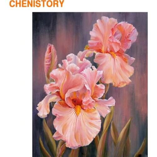CHENISTORY Frame Dream Flowers DIY Painting By Numbers Home Wall Art Canvas Painting Picture By Numbers For Home Artwork Gift
