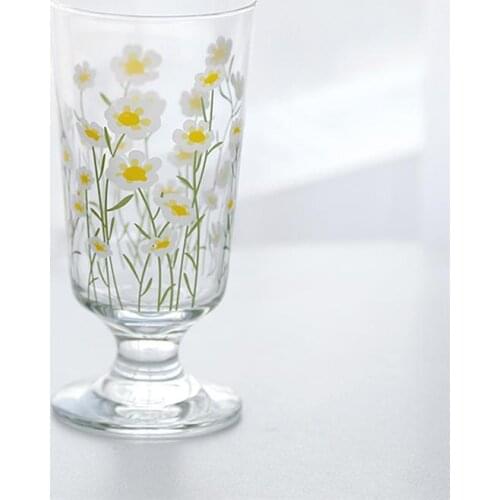 OUNONA Double Wall Glass Cups
