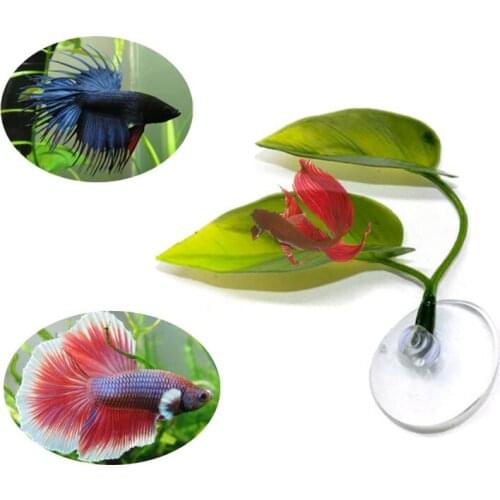 Strong-Toyers Equipment For Aquariums