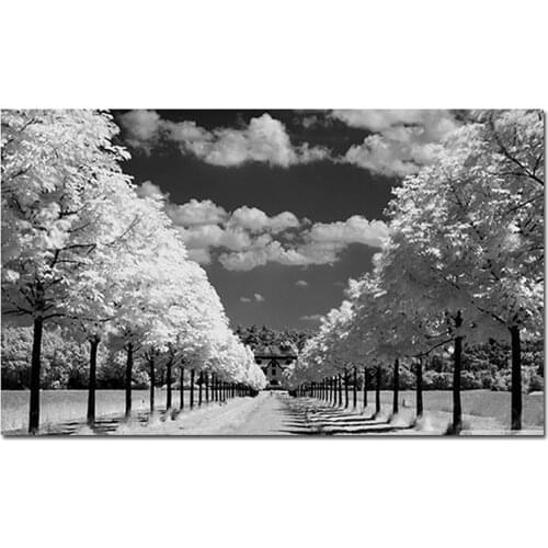 DIY Diamond Painting Black and White Street 5D Cross Stitch Kits Diamond Mosaic crystal Diamond Embroidery square Rhinestones