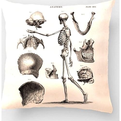 Skeleton Antique Anatomy Skeletonss Wedding Decorative Cushion Cover Pillow Case Customize Gift By Lvsure For Seat Pillowcase