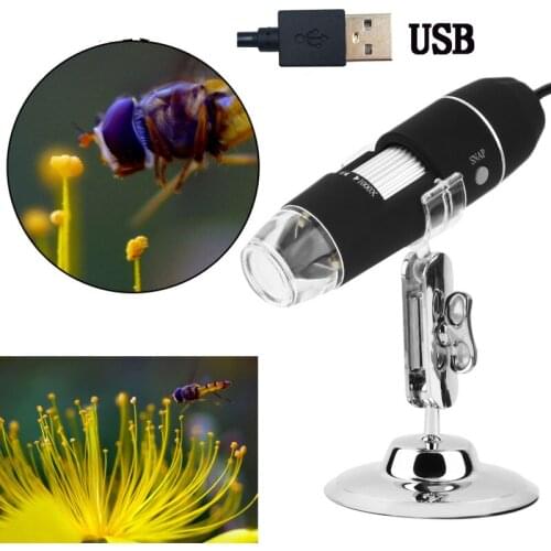 500X 1000X 8 LED Digital Biological Microscope USB Endoscope Camera Microscopio Magnifier Stereo Microscope for Kids
