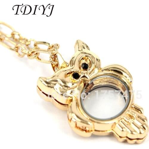 TDIYJ Women Fashion Zinc Alloy Owl Floating Charms Locket 5pcs/lot 35mm*40mm for Gift