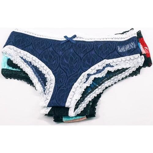 6 Pcs / Lot Low Rise Sexy Lace Transparent Women Briefs Panties 9502