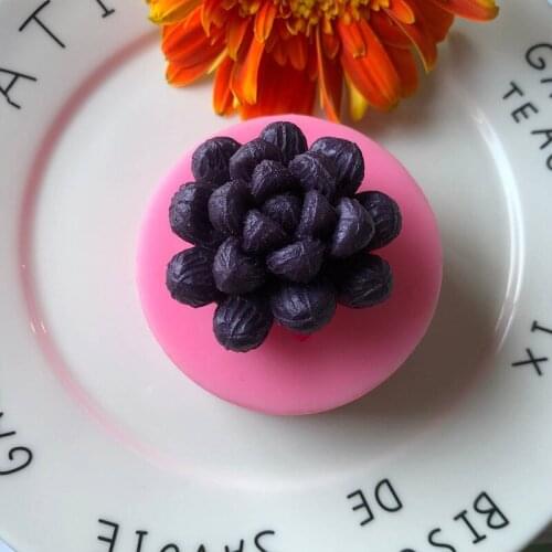 Carnivorous Plant Silicone Mold Decoration DIY Ocean World Soft Pottery Molds XGY-34