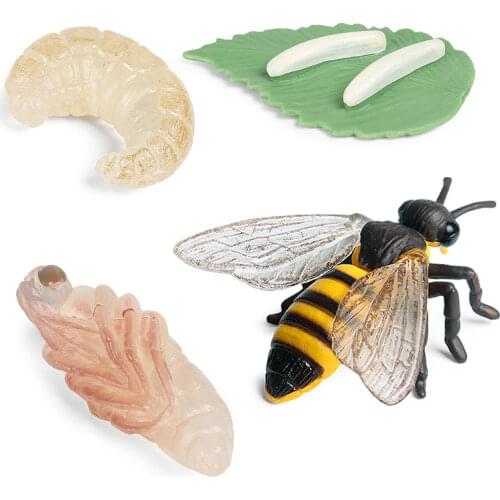 Simulation Animal Insect Model Action Figures Mini Bee Growth Cycle Animal PVC Toy Figures Teaching Material For Kid Baby Gifts