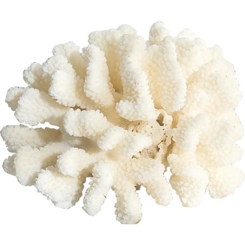 White Coral Shell Conch Coral Flower Aquarium Decoration Window Sea Snail Figurines Miniatures Mediterranean Ornaments Specimens
