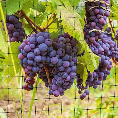 Anti-bird net Garden Netting for plants fruit trees vegetable Pond protection nets 6/10/15/20M Reusable Mesh Fruit Cage dropship