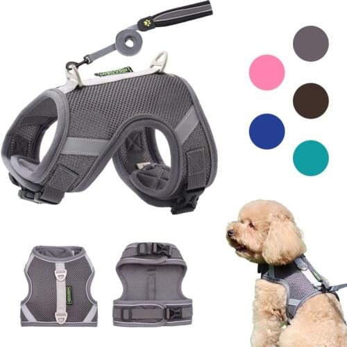 Dog Harness Vest With Lead Leash Small Medium Dogs Cats Reflective Breathable Mesh Pet Vest for French Bulldog Chihuahua