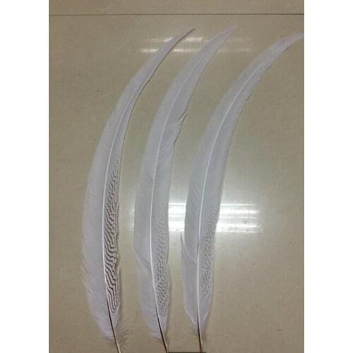 Wholesale rare silver white chicken feathers 50 pcs 70-75 cm / 28-30 inch silver feather carnival