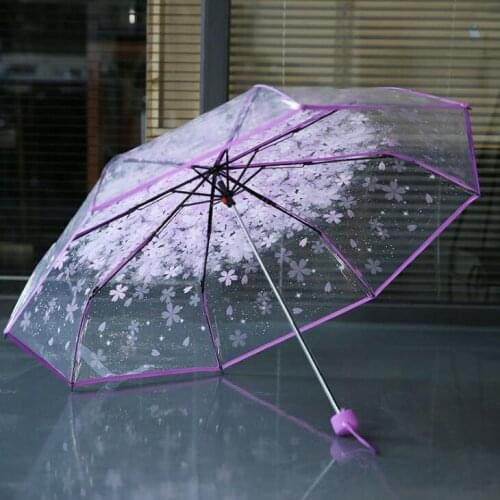 Clear Umbrella Handle Windproof 3 Fold Umbrella Cherry Blossom Mushroom Apollo Sakura women Girls Umbrella LX2257