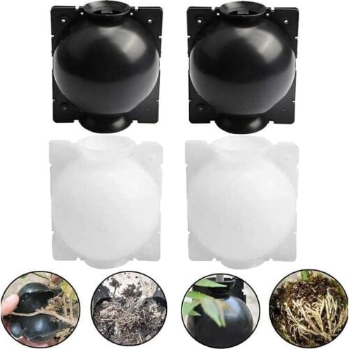 Pengliu Seedling Pots