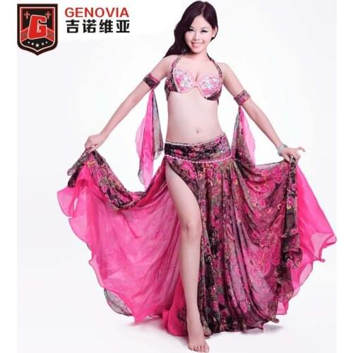 2018 Luxury Belly Dance Costume 4 Pcs Bra&belt&skirt&armbands 34b/c 36b/c 38b/c
