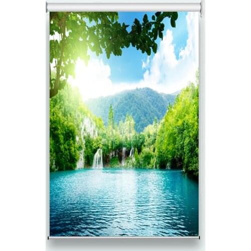 Custom Printing Roll Curtains Shade Thermal Roller Blinds For Living Room Bedroom Office Kitchen Hotel Window Curtain