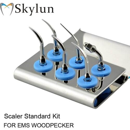 Dental Ultrasonic scaler Tip Kit Scaler Standard Kit Sliver scaler tips G1 G2 G4 P1 P3 E1 Fit EMS WOODPECKER AT07