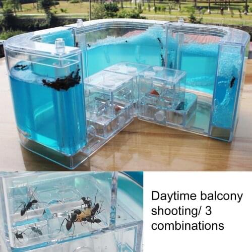 Ant Farm Pet Toy Villa Transparent Habitat Funny Art Decoration Feeding Area Specially Kids Gift Ant Nest Ant Farm Ants House