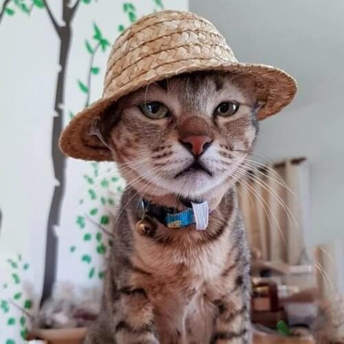 Pet Straw Hat Pets Decoration Small Medium Big Dogs Cats Costume Photography Props for Dog Cat Straw Hat Pet Supplies