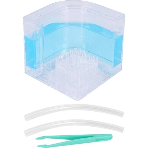 DIY Moisture with Feeding Area Ant Nest Ant Farm Ant Nests Villa Pet for House Ants Ant Workshop Ant Nest Science Educational To