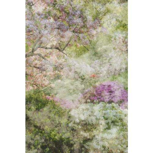 Back Drop Fondo Fotografia Spring Flower Fondos Fotograficos 3x6 T20190337