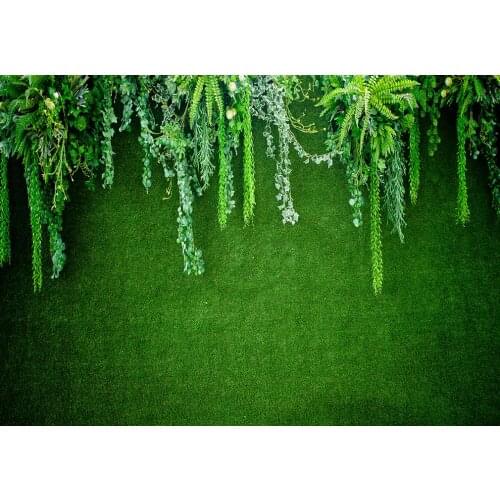 250x180cm polyster backdrop add holes B188